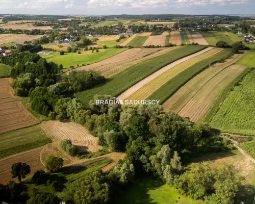 Zdzięsławice, gmina Michałowice. Działka 15 arów