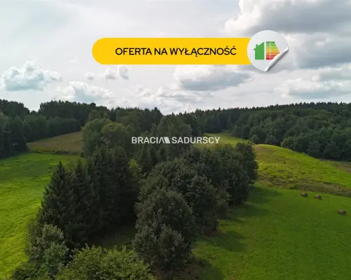 Działka budowlana o powierzchni 30 arów w Brodach