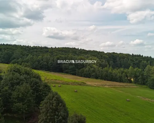 Działka budowlana o powierzchni 30 arów w Brodach