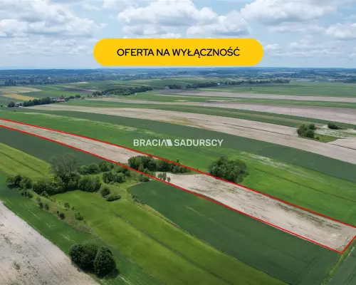 Działka rolna o pow. 3 ha - Prandocin-Iły    Oferujemy na sprzedaż działkę rolną o pow. 3 ha położoną w Prandocinie-Iły k/Sło
