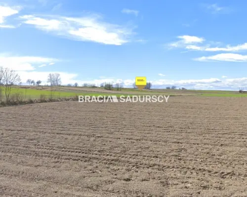 Działka rolna o pow. 3 ha - Prandocin-Iły    Oferujemy na sprzedaż działkę rolną o pow. 3 ha położoną w Prandocinie-Iły k/Sło