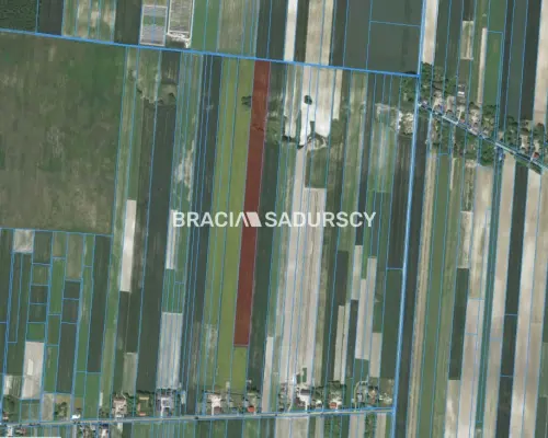 Działka rolna o pow. 3 ha - Prandocin-Iły    Oferujemy na sprzedaż działkę rolną o pow. 3 ha położoną w Prandocinie-Iły k/Sło