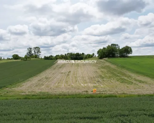 Działka rolna o pow. 3 ha - Prandocin-Iły    Oferujemy na sprzedaż działkę rolną o pow. 3 ha położoną w Prandocinie-Iły k/Sło