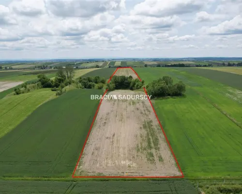 Działka rolna o pow. 3 ha - Prandocin-Iły    Oferujemy na sprzedaż działkę rolną o pow. 3 ha położoną w Prandocinie-Iły k/Sło