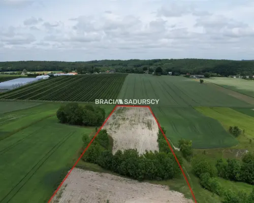 Działka rolna o pow. 3 ha - Prandocin-Iły    Oferujemy na sprzedaż działkę rolną o pow. 3 ha położoną w Prandocinie-Iły k/Sło