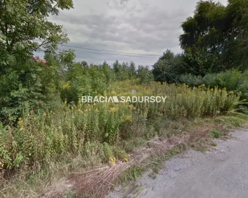 Działka w Kryspinowie, Liszki