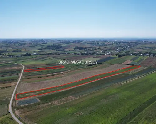 Działki rolne Proszowice