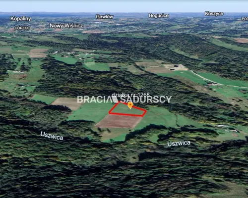 DZIAŁKA BUDOWLANA 43 ARY WIDOK LIPNICA GÓRNA