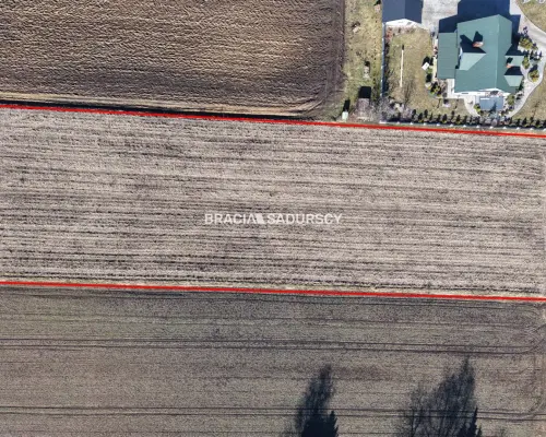 Działka Klimontów, Proszowice