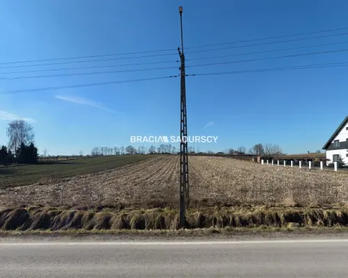 Działka Klimontów, Proszowice