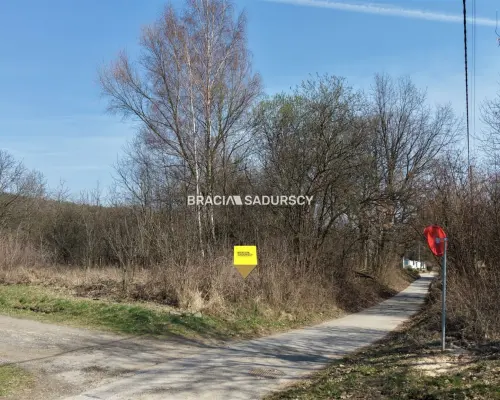 Działka Budowlano-usługowa, Morawica, Liszki