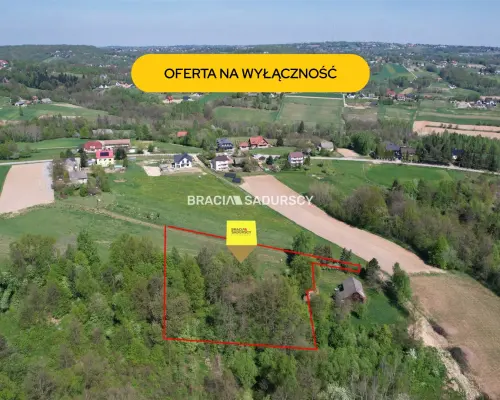 Działka rolna z drewnianym domem Nowa Wieś
