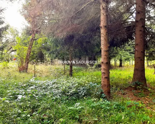 Działka w ROD Lusina ul. Przemiarki!