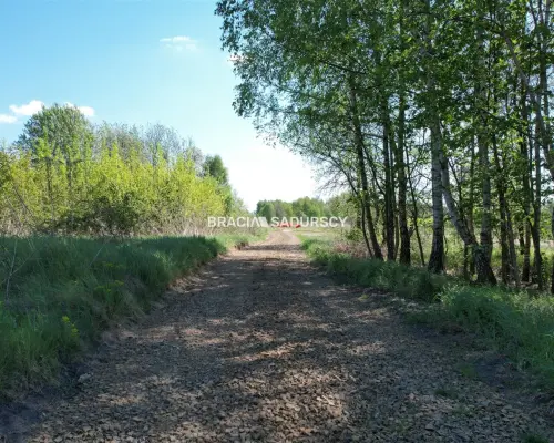 Panoramiczna Działka Rezydencjalna 53a z Widokiem na Babią Górę | Przeginia Narodowa   Ostatnia linia zabudowy, połudn