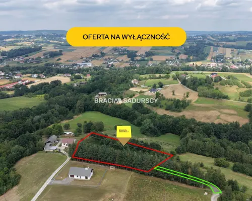 Wyjątkowa polana z potencjałem rezydencjonalnym i inwestycyjnym - 49 arów w malowniczej Łąkcie Górnej (MNU)
