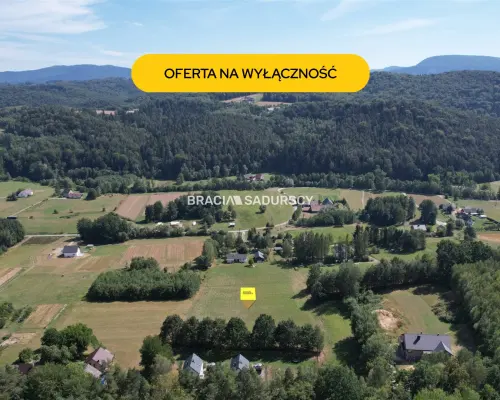 Działka 80 ar Budowlano-usługowa