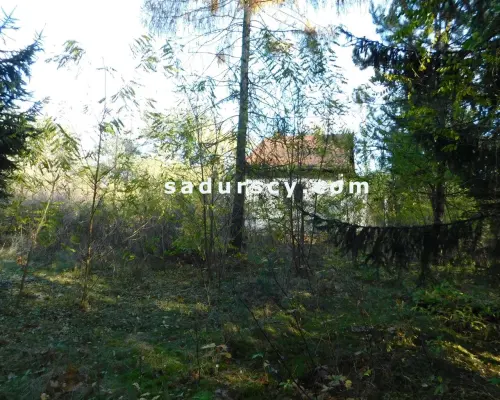 Ładna działka budowlano - inwestycyjna 4100m2 w Białym Ługu, gmina Prażmów, pow. piaseczyński.       Cisza, zieleń, dobry dos