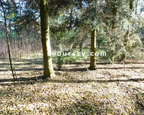 Ładna działka budowlano - inwestycyjna 4100m2 w Białym Ługu, gmina Prażmów, pow. piaseczyński.       Cisza, zieleń, dobry dos