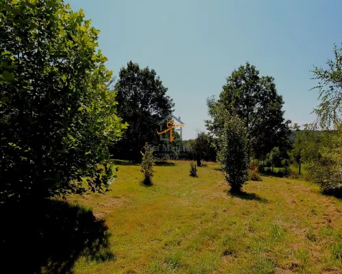 Klimatyczne siedlisko z lasem. Gm. Nowy Wiśnicz.