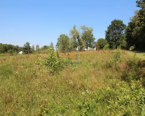 Klimatyczne siedlisko z lasem. Gm. Nowy Wiśnicz.