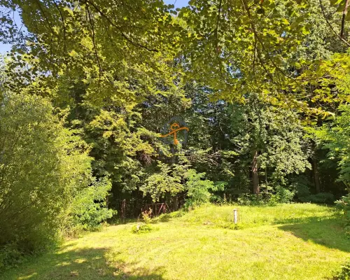 Klimatyczne siedlisko z lasem. Gm. Nowy Wiśnicz.