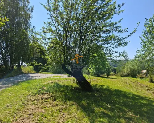Klimatyczne siedlisko z lasem. Gm. Nowy Wiśnicz.