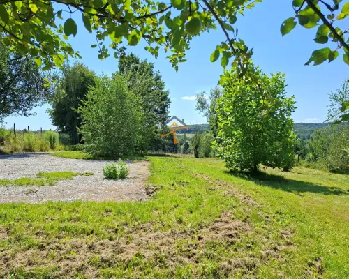 Klimatyczne siedlisko z lasem. Gm. Nowy Wiśnicz.