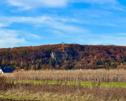 Rusicice, gm. Czernichów. 27 ar w zielonej okolicy