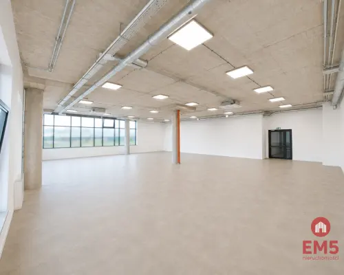 Lokal użytkowy 200 m2. Fitness, zajęcia ruchowe.