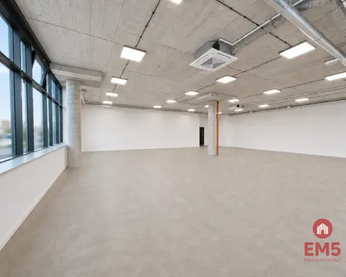 Lokal użytkowy 200 m2. Fitness, zajęcia ruchowe.