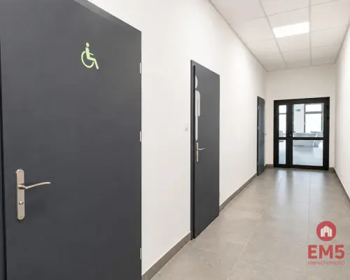 Lokal użytkowy 200 m2. Fitness, zajęcia ruchowe.
