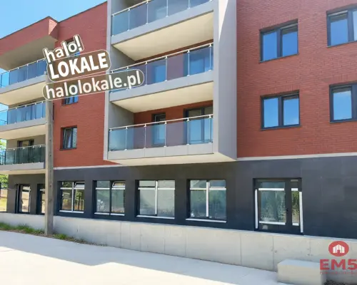 Nowe lokale do wynajęcia