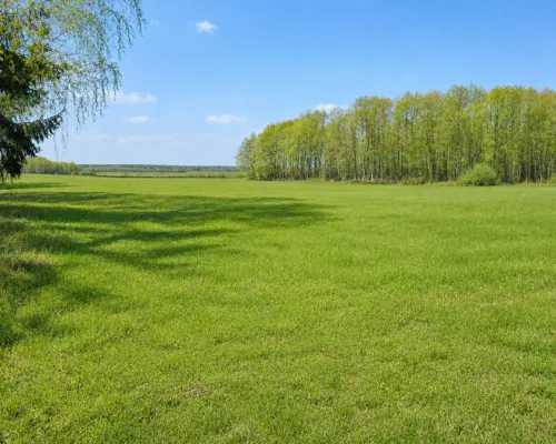 Działka budowlana 2160 m2. Nowosiółki