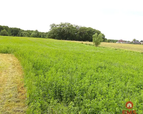 Spokój za miastem, Suwałki na wyciągnięcie ręki –