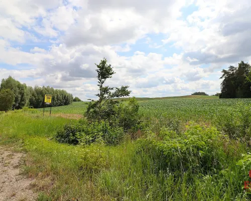Działka budowlana na Mazurach Rożyńsk Wielki
