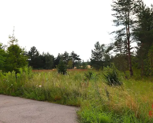 Działka budowlana pod Suwałkami NOWA CENA