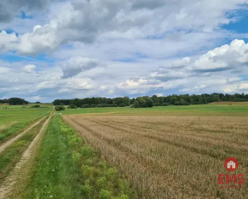Działka w otulinie Puszczy Knyszyńskiej z WZ