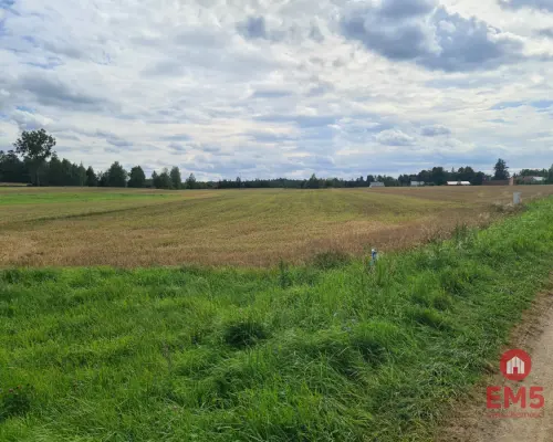 Działka w otulinie Puszczy Knyszyńskiej z WZ
