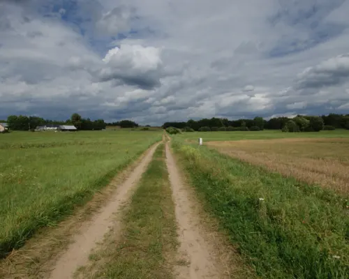 Działka w otulinie Puszczy Knyszyńskiej z WZ