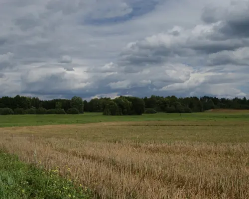 Działka w otulinie Puszczy Knyszyńskiej z WZ