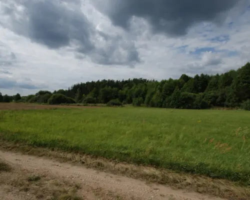 Działka w otulinie Puszczy Knyszyńskiej z WZ