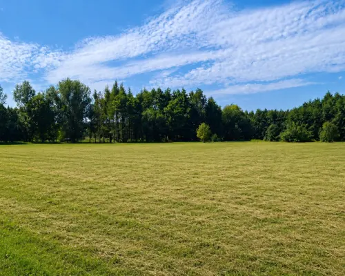 Działka 4400 m2, Szudziałowo