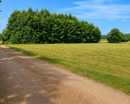 Działka 4400 m2, Szudziałowo