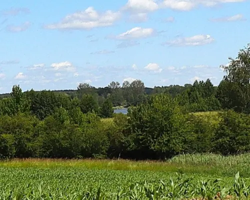 Działka budowlana na Mazurach Rożyńsk Wielki