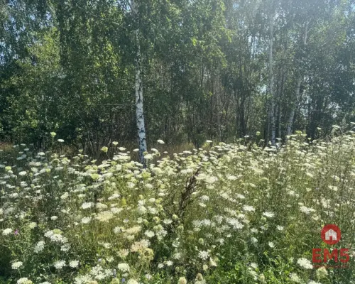 Działka W Halickie