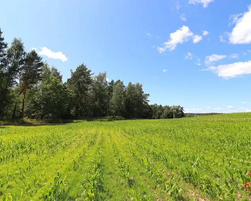 Działka budowlana na Mazurach Rożyńsk Wielki
