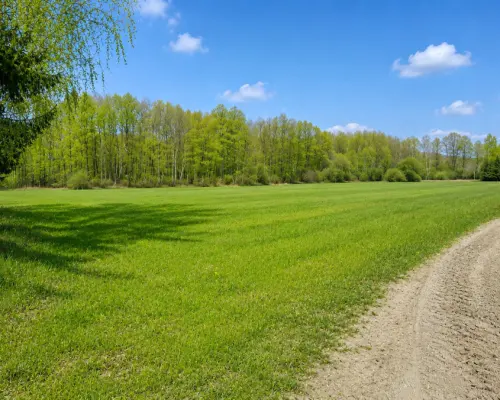 Działka rolno-budowlana 2,5 ha. Nowosiółki