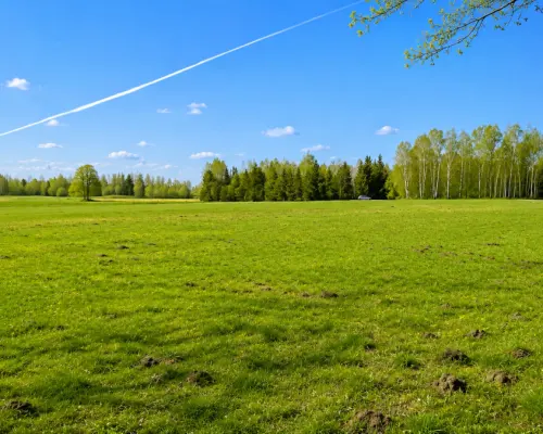 Działka rolno-budowlana 2,5 ha. Nowosiółki