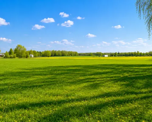 Działka rolno-budowlana 2,5 ha. Nowosiółki