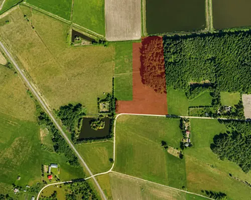 Działka rolno-budowlana 2,5 ha. Nowosiółki
